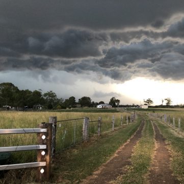 ABOUT GARLIC house storm